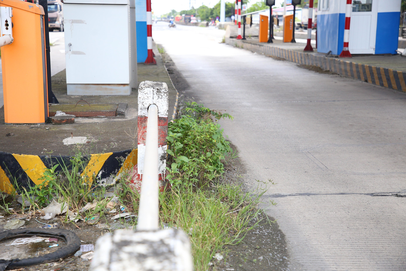 Khu vực trạm thu phí BOT Cai Lậy mọc đầy cỏ dại.