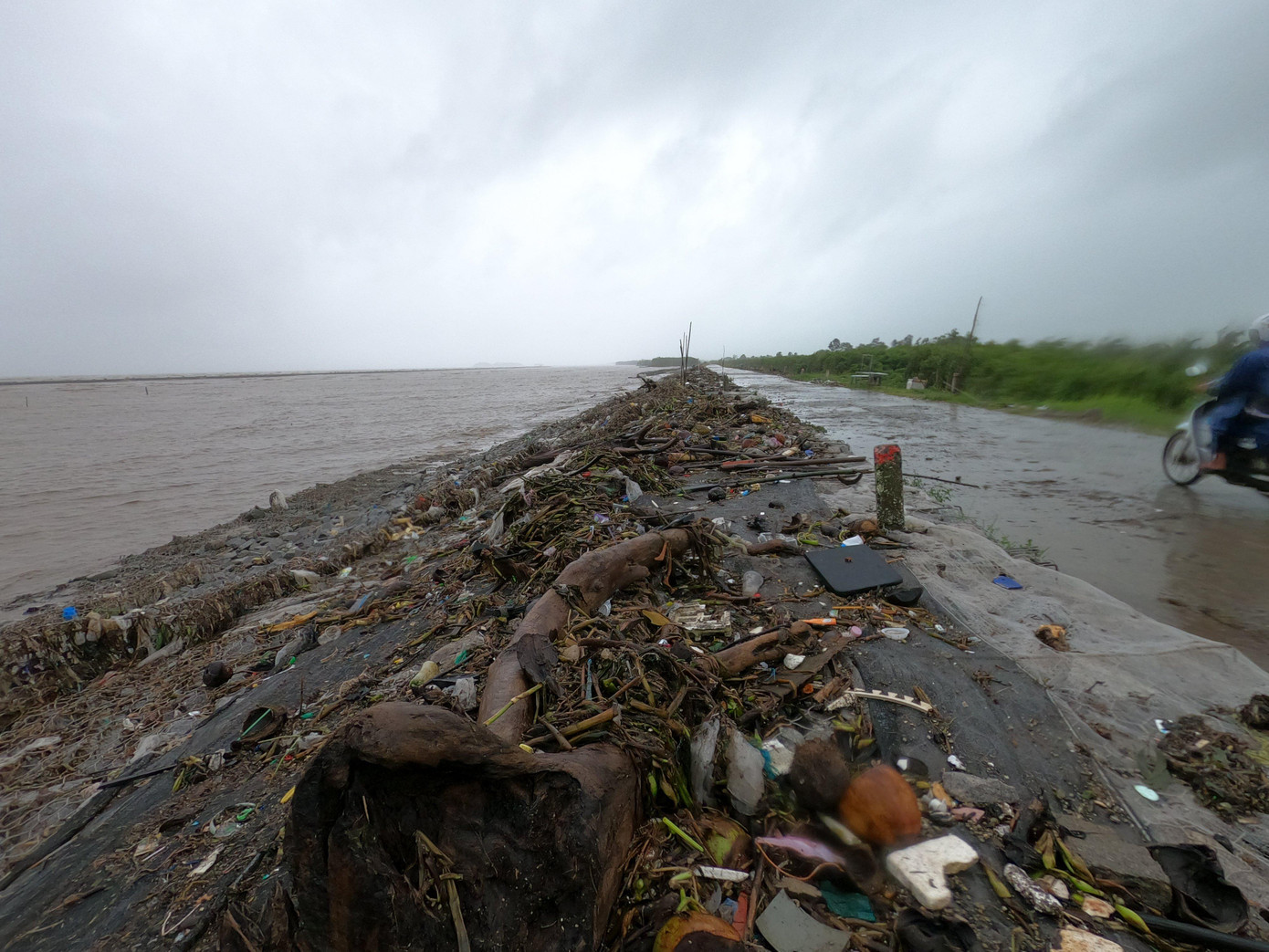 Triều cường dâng cao khiến nước tràn qua mặt đê biển Tây ( xã Khánh Bình Tây, huyện Trần Văn Thời). Triều cường dâng cao khiến nước tràn qua mặt đê biển Tây ( xã Khánh Bình Tây, huyện Trần Văn Thời).