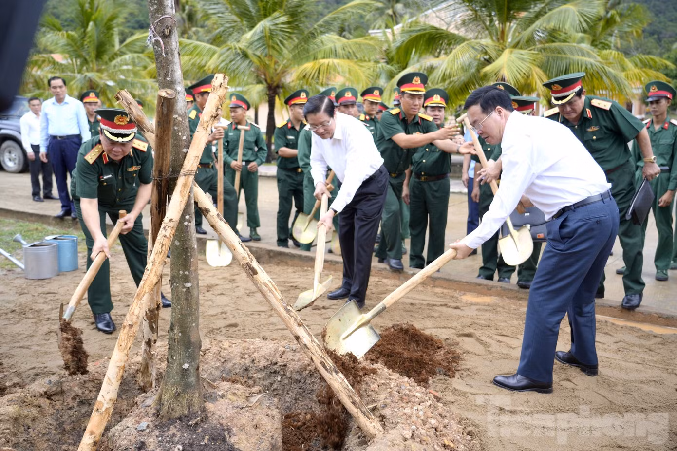 Chủ tịch nước Võ Văn Thưởng ( bìa phải) trồng cây tại khuôn viên Trung đoàn Bộ binh 152. Ảnh: T. Hồ.