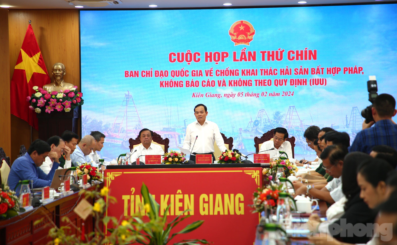 Phó Thủ tướng Trần Lưu Quang phát biểu chỉ đạo tại cuộc họp. Ảnh: Nhật Huy.