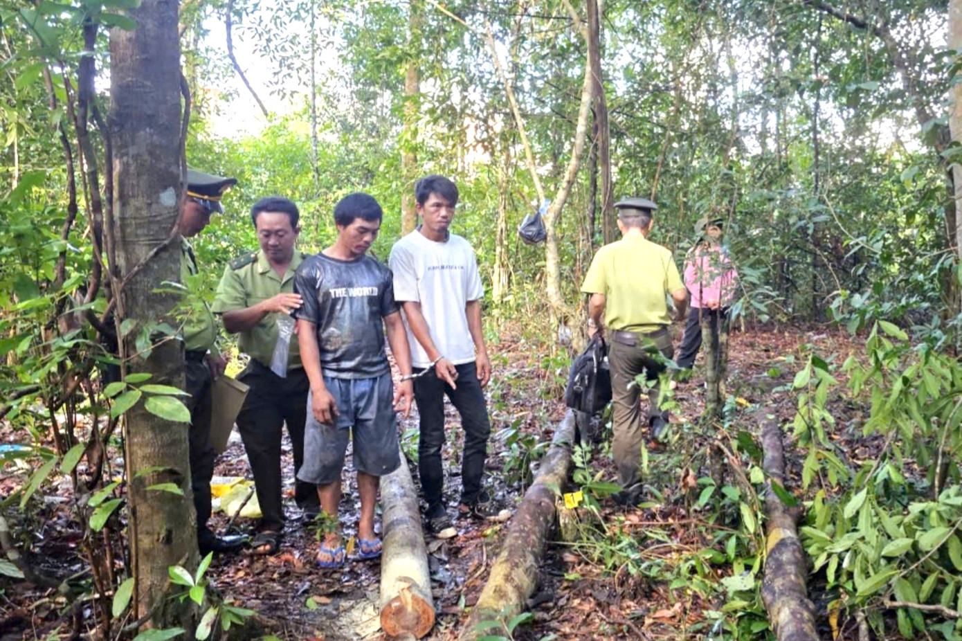 Cả bị bắt quả tang khi khai thác gỗ trái phép.