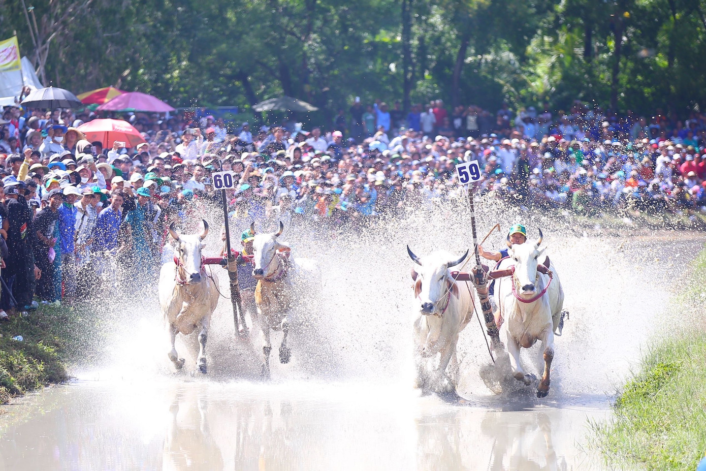 Màn tranh tài gay cấn khiến khán giả hào hứng. Ảnh: Nhật Huy.