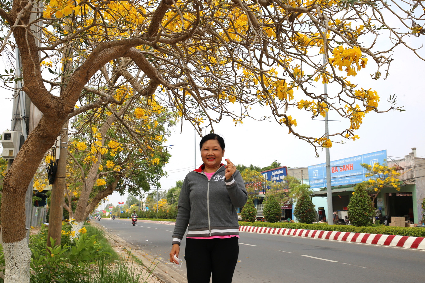 Chị Châu Thị Mỹ Tiên - đến từ tỉnh An Giang chia sẻ: "Tôi có dịp qua Đồng Tháp và tình cờ bắt gặp cảnh hoa phong linh đang khoe sắc, đẹp không thể cưỡng lại được, phải dừng chân chụp vài tấm hình làm kỷ niệm".