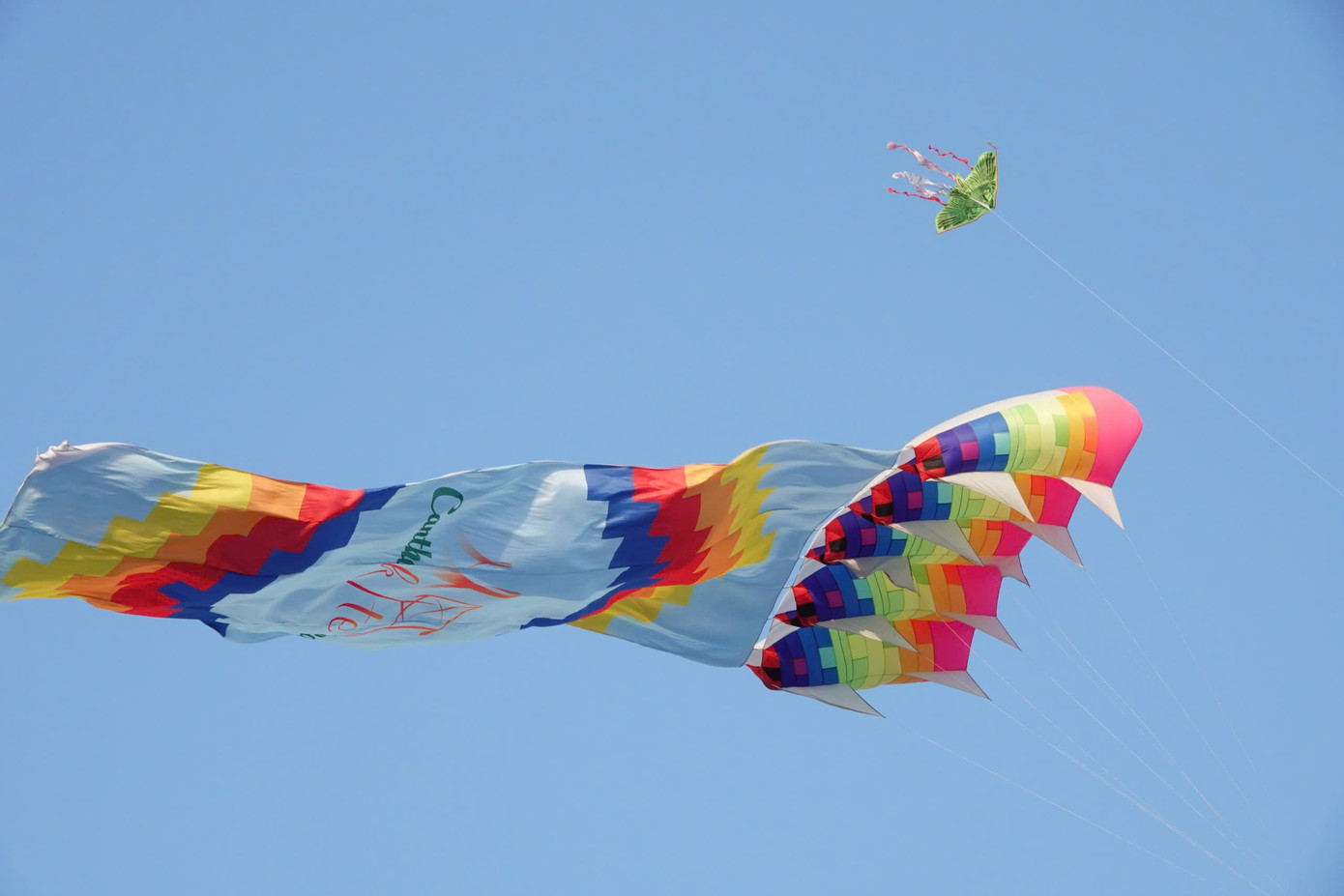 Bên cạnh những cánh diều truyền thống, giới đam mê diều ở Cần Thơ còn mạnh tay đầu tư vào những mẫu diều khí động học cỡ lớn, có giá lên đến hàng chục triệu đồng mỗi chiếc, góp phần làm phong phú thêm sân chơi đầy màu sắc này.