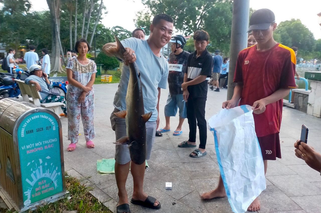 Thành phố cũng yêu cầu phường 4 giám sát chặt chẽ việc kéo cá và chỉ kéo trong một khoảng thời gian nhất định để không ảnh hưởng đến người dân vui chơi tại công viên.