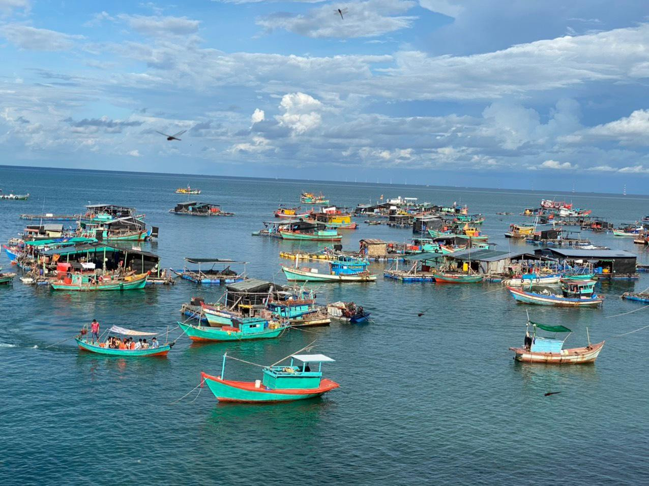 Nuôi cá lồng bè ở huyện Kiên Hải, tỉnh Kiên Giang. Ảnh: P. Vũ.