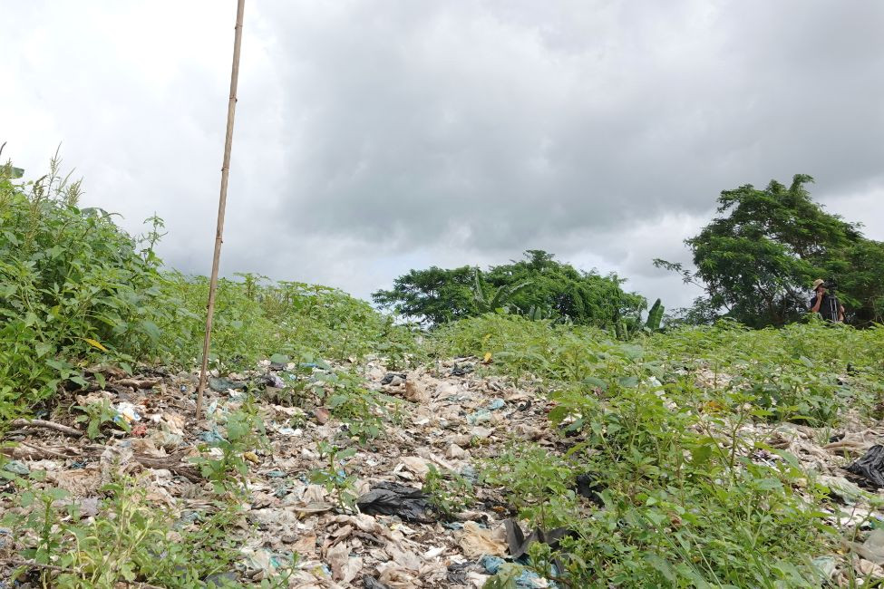 Theo đó, phương án xử lý được đưa ra là nhờ nhà máy xử lý rác huyện Thới Lai nhưng đơn vị này cho biết muốn đốt rác, trước hết phải phân loại rác. Nhà máy chỉ đốt phần rác đốt được, còn đất mùn phải chuyển đi nơi khác. Phần đất này có thể xem xét để san lấp một số công trình.