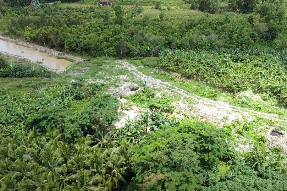 Theo tìm hiểu của PV, đoạn tuyến nối cao tốc Cần Thơ - Cà Mau từ nút giao IC2 đến quốc lộ 1 (dài 7km) sẽ nằm trên một phần bãi rác này.