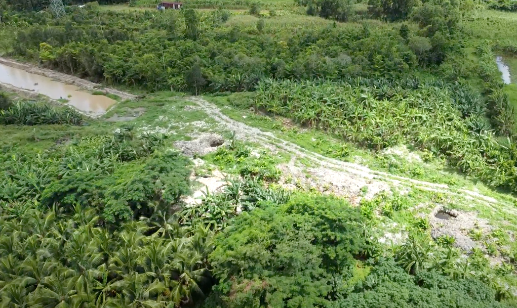 Bãi rác số 8 ở phường Ba Láng, quận Cái Răng có diện tích 4,3ha. Bãi rác số 8 ở phường Ba Láng, quận Cái Răng có diện tích 4,3ha.