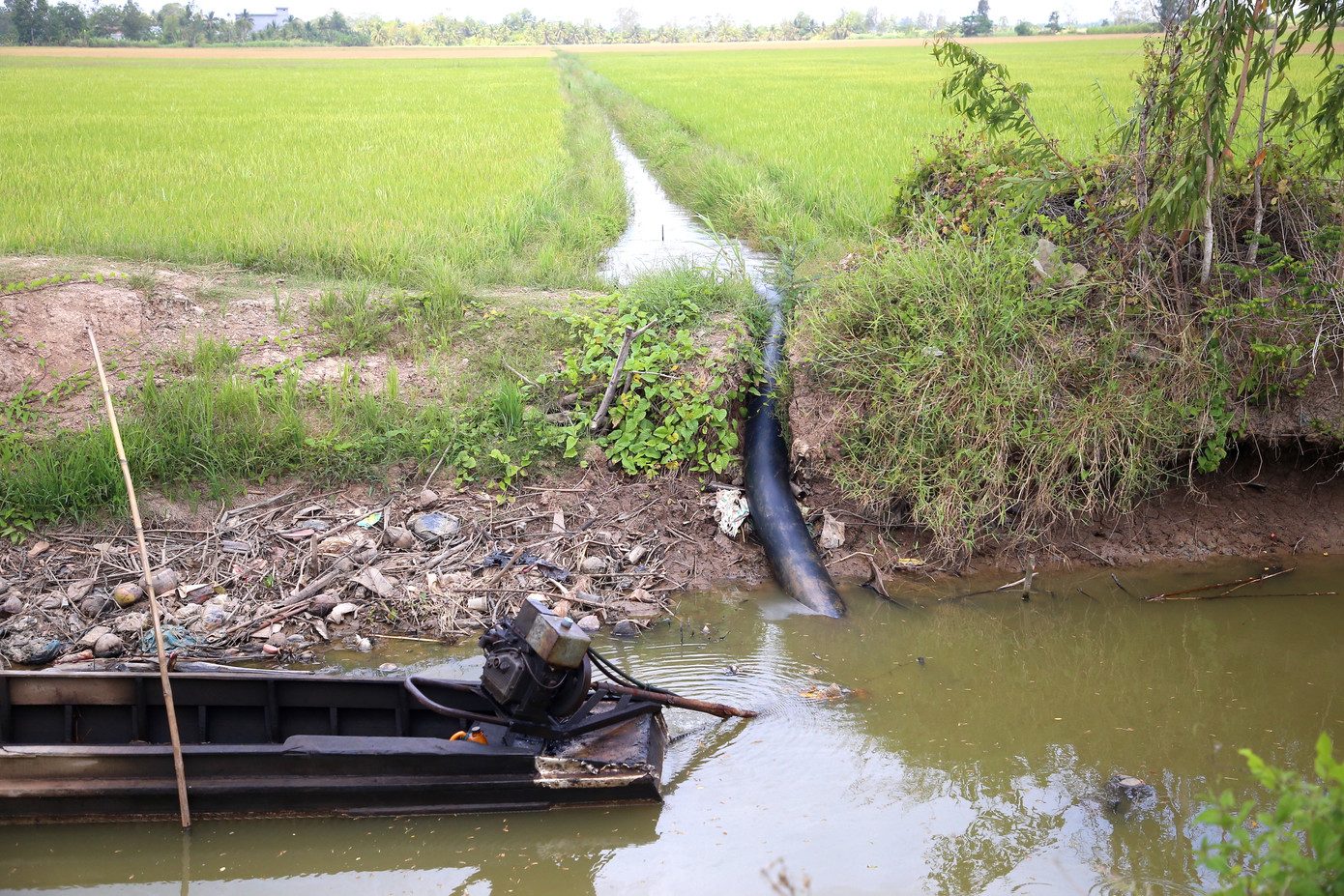 Nông dân bơm nước vào ruộng lúa sau nhiều ngày thiếu nước tưới.