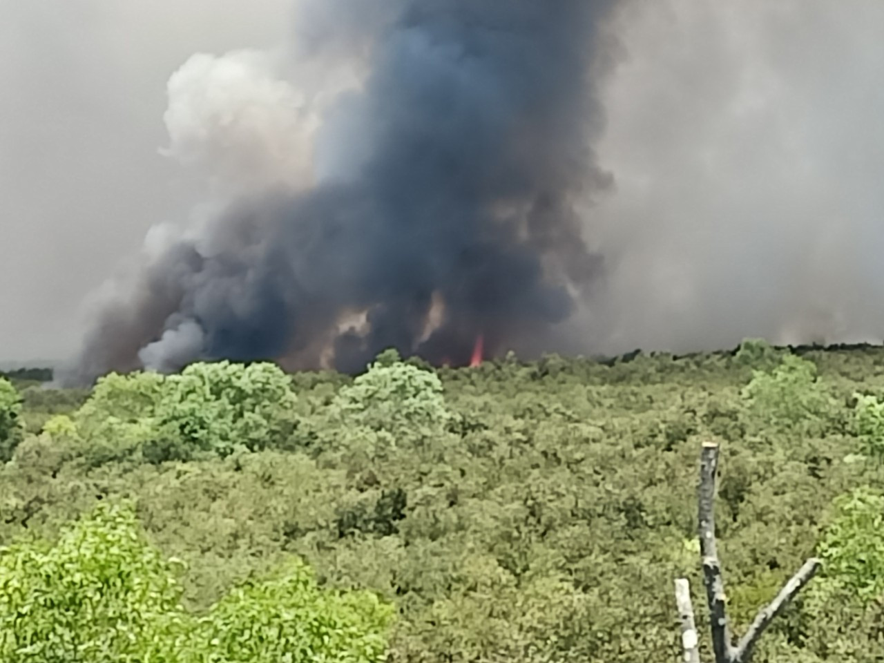 Hiện trường vụ cháy. Hiện trường vụ cháy.