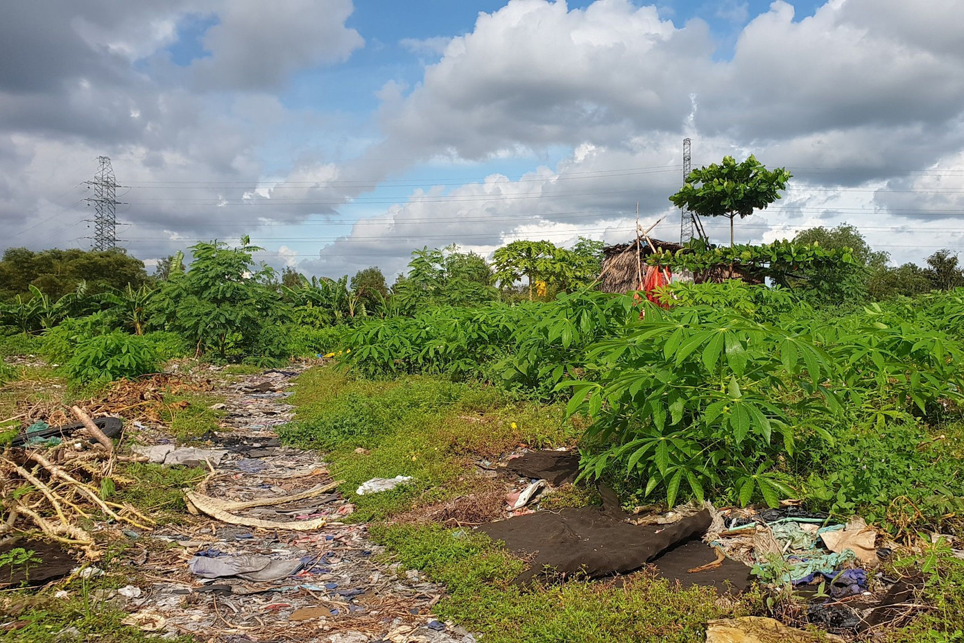 Đến thời điểm hiện tại, sau 8 tháng thi công, tiến độ thi công cao tốc Cần Thơ - Cà Mau chỉ mới đạt hơn 7% so với giá trị hợp đồng. Nguyên nhân là do thiếu cát, vướng mặt bằng...
