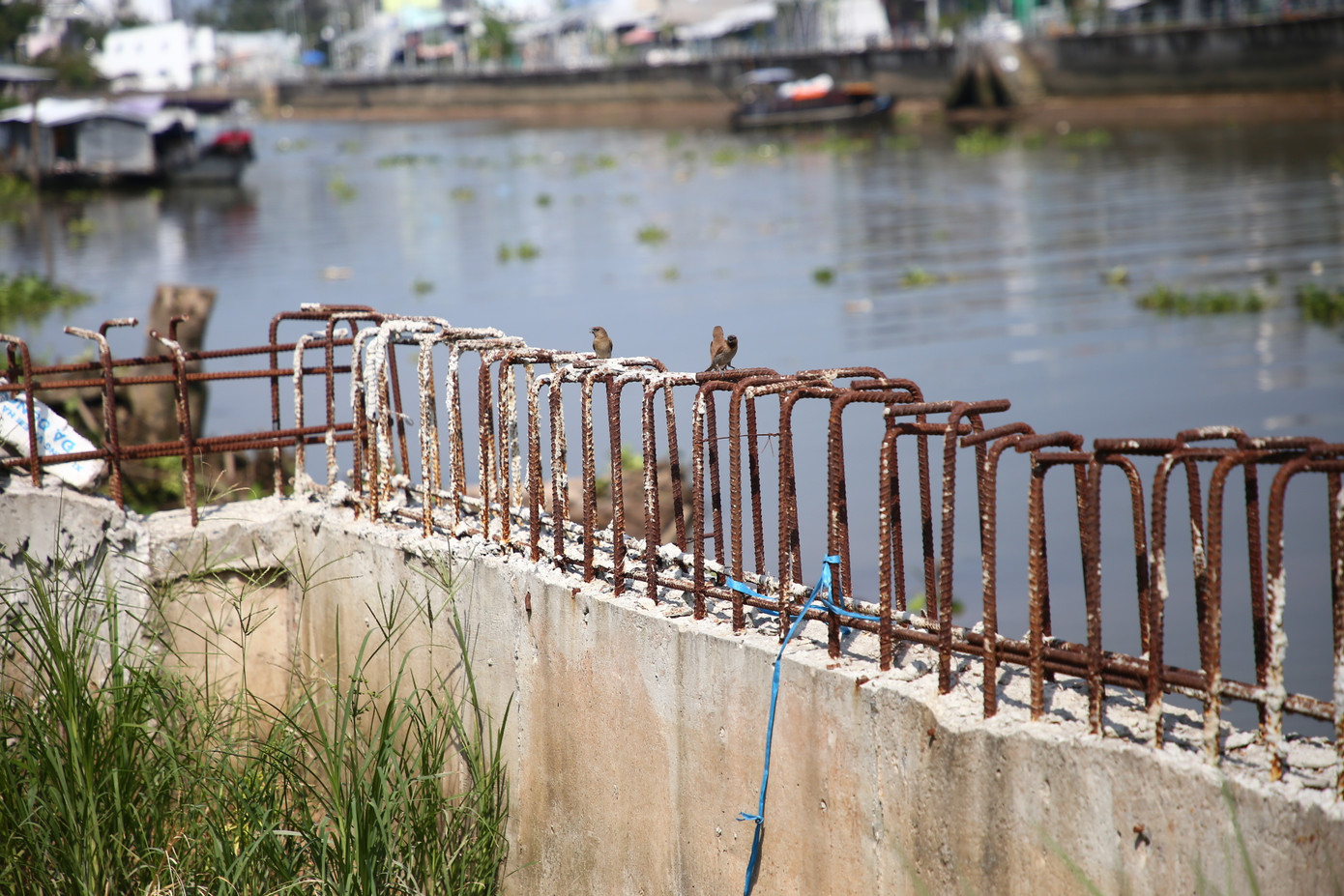 Ông Phạm Thanh Tùng - ngụ khu vực 6, phường An Bình, quận Ninh Kiều phản ánh: "Dự án tạm ngưng nhiều tháng nay. Người dân chúng tôi mong muốn công trình này sớm hoàn thành để thuận tiện cho việc đi lại. Hiện một số chỗ thiếu biển cảnh báo, tiềm ẩn nguy cơ tai nạn cho người tham gia giao thông, nhất là vào ban đêm".