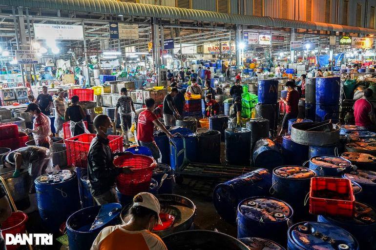 1h sáng, khu vực bán cá lóc tại chợ đầu mối Bình Điền luôn đông đúc, các tiểu thương nhộn nhịp chọn lựa các lóc để chuẩn bị bán trong ngày vía Thần tài (mùng 10 tháng Giêng). Chị Võ Thị Kim Phụng cho biết, ngày thường, chợ chỉ nhộn nhịp từ lúc 21h đến 4h hôm sau, còn ngày này nhân viên tăng ca làm việc đến 18h ngày hôm sau. 1h sáng, khu vực bán cá lóc tại chợ đầu mối Bình Điền luôn đông đúc, các tiểu thương nhộn nhịp chọn lựa các lóc để chuẩn bị bán trong ngày vía Thần tài (mùng 10 tháng Giêng). Chị Võ Thị Kim Phụng cho biết, ngày thường, chợ chỉ nhộn nhịp từ lúc 21h đến 4h hôm sau, còn ngày này nhân viên tăng ca làm việc đến 18h ngày hôm sau.