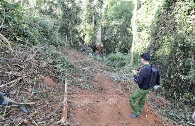 Lực lượng chức năng khám nghiệm hiện trường, điều tra nguyên nhân vụ tại nạn. Ảnh: Quang Thái/TTXVN Lực lượng chức năng khám nghiệm hiện trường, điều tra nguyên nhân vụ tại nạn. Ảnh: Quang Thái/TTXVN