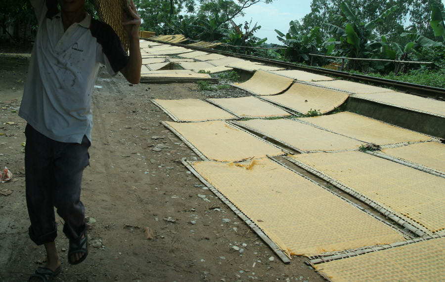 Sau khi tráng thành tấm, những phên miến được mang đi phơi tại bất kỳ chỗ nào trống trải