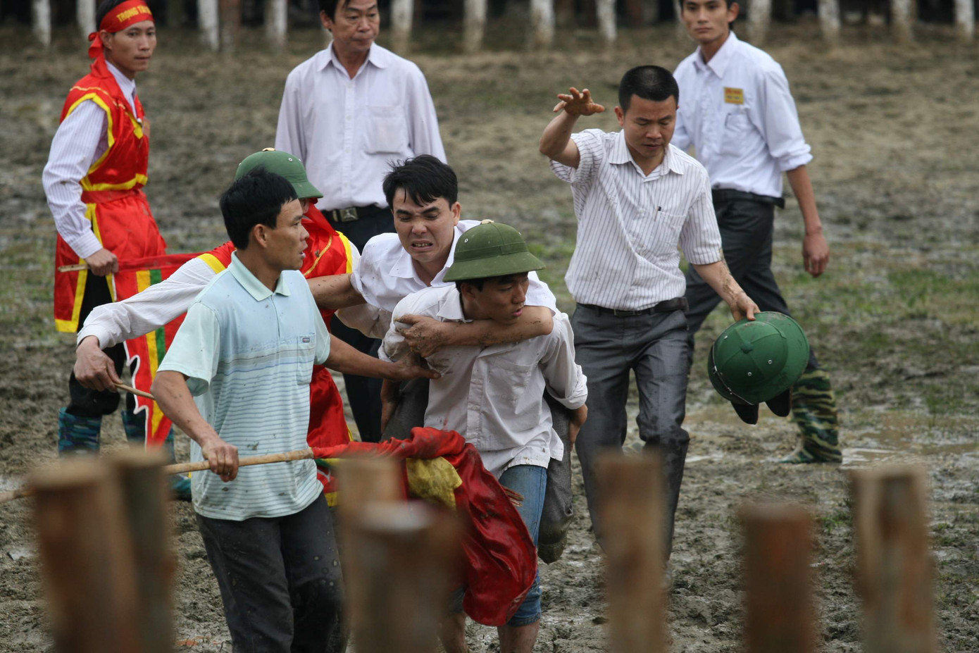 Chủ trâu bị trâu giẫm bị thương