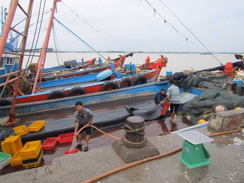 Bão số 2 áp sát Thanh Hóa-Hà Tĩnh, gió giật cấp 11-12 ảnh 1