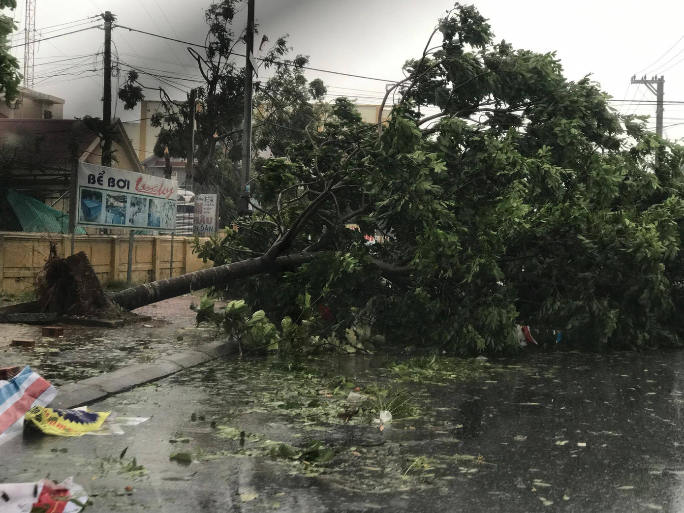 Bão số 10 càn quét miền Trung, ít nhất 4 người chết ảnh 20