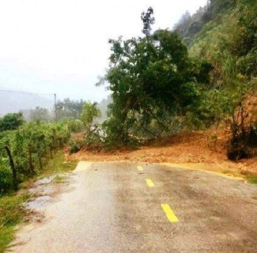 Lũ quét, sạt lở đất ở nhiều địa phương của Nghệ An ảnh 1