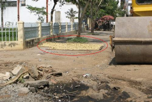 Phơi chanh chuẩn bị ngâm muối trên vỉa hè, gần cống, công trường bụi mù mịt - Ảnh: Đức Thanh - Tuổi Trẻ