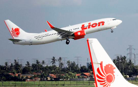 [CẬP NHẬT] Hé lộ nguyên nhân máy bay Lion Air JT 610 rơi xuống biển ảnh 2