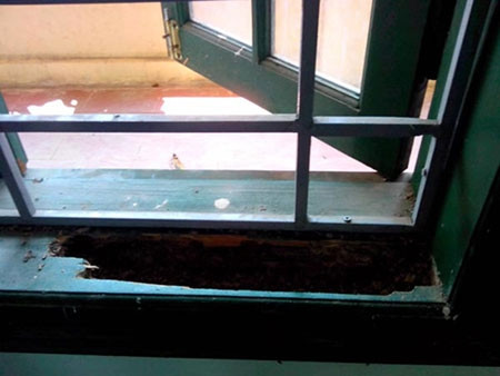 Vợ chồng người bảo vệ cho biết, năm 2010, Trường THCS Tân Hòa được cấp kinh phí xây mới khối nhà 2 tầng, 8 phòng học và cơi thêm 5 phòng học tầng 2 của khối nhà giữa nhưng không biết vì lý do gì mà sau 2 năm hoàn thiện các phòng học này vẫn chưa được đưa vào sử dụng mặc dù hiện Trường Tân Hòa chưa đủ phòng, lớp