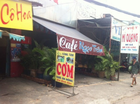 Dấu hiệu nhận biết cà phê ‘nằm’ ở vùng ven Sài Gòn với các chậu kiểng cành lá um tùm