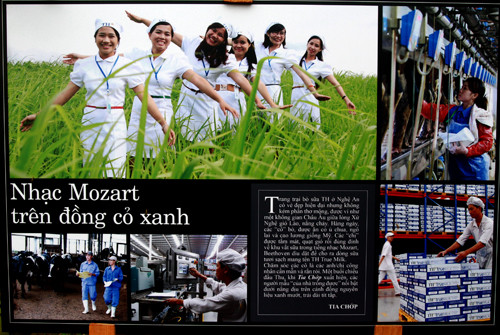 Nhiều tác phẩm được thực hiện thành phóng sự ảnh