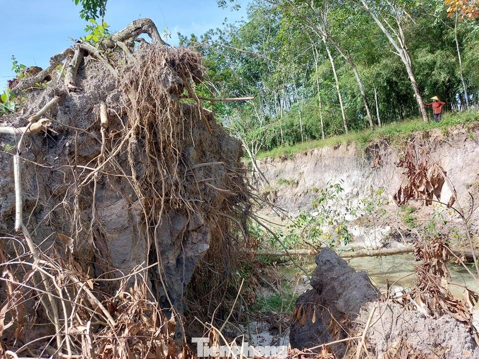 Trong khi đó, bà Lê Thị Hà cho biết thêm, địa phương đã lên phương án đóng cọc để kè lại 2 bên bờ suối tránh xảy ra sạt lở thêm và được một số hộ dân đồng ý. Tuy nhiên, sau nhiều lần đến ghi nhận hiện trạng, đến nay ngành chức năng vẫn chưa đưa ra hướng xử lý. "Hiện nay, đang mùa mưa nên chúng tôi đang sống trong sự lo âu, thấp thỏm vì cứ mưa xuống là tình trạng sạt lở càng nghiêm trọng hơn”, bà Hà nói.
