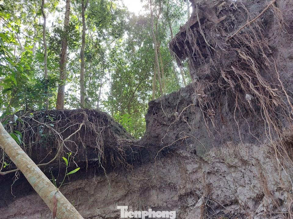 Những lúc trời mưa, nước lớn đổ dồn gây sạt lở nghiêm trọng