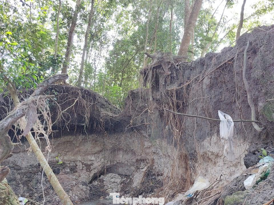 Sạt lở làm cây trồng mất chân