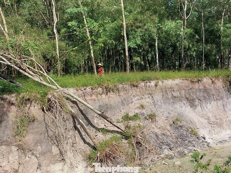 Một hộ dân bị ảnh hưởng cho biết, ngành chức năng và đơn vị quản lý khu công nghiệp đã đến khảo sát, tính việc xây dựng bờ bao tránh sạt lở. Tất cả hộ dân bị ảnh hưởng đều đồng ý hiến đất không cần bồi thường.