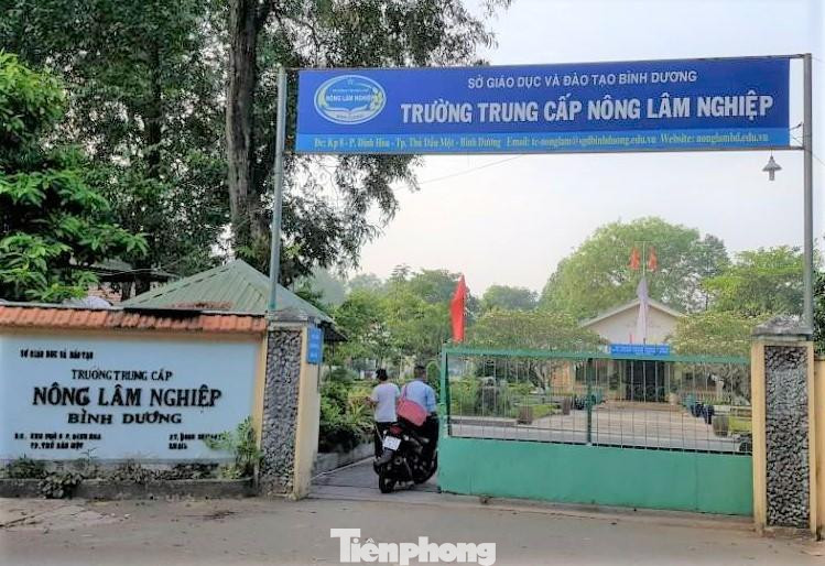 Chuyện buồn ở Bình Dương: Hiệu trưởng dính kỷ luật, học sinh bị buộc thôi học ảnh 1