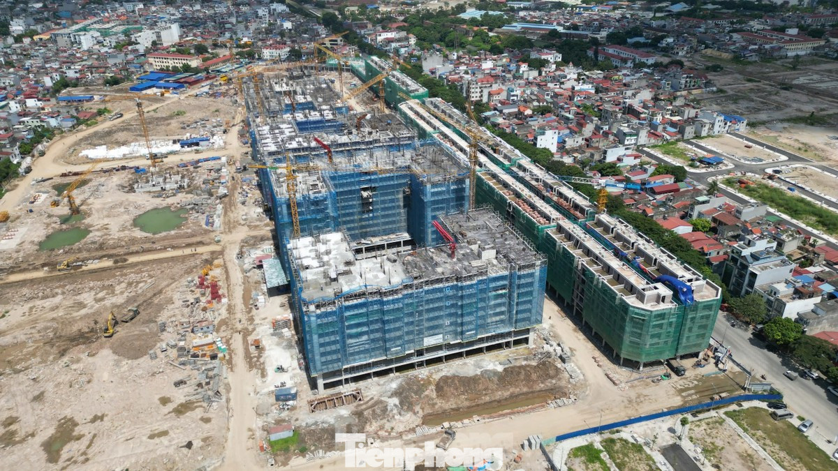 HoREA kiến nghị áp mức thuế ưu đãi thu nhập với doanh nghiệp làm nhà ở xã hội cho thuê là 6% để thu hút nhà đầu tư thay vì 10% theo đề xuất của Bộ Tài chính.