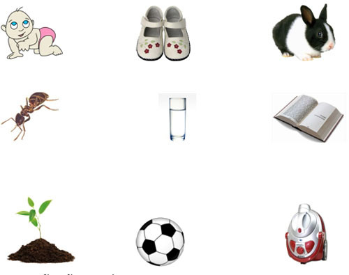 Câu kiểm tra vào lớp 1 trường Đoàn Thị Điểm. (Câu hỏi: Những vật nào dưới đây có thể lớn lên nhờ ăn uống và chăm sóc? Khoanh tròn các hình đó)