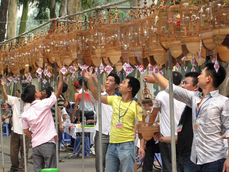 Hội thi thu hút hơn 200 chú chim tham gia tranh tài