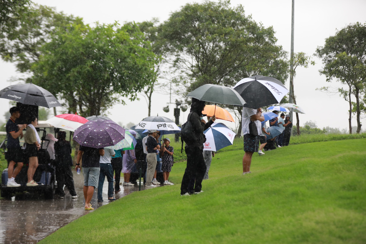 Bất chấp trời mưa to, các cổ động viên vẫn nán lại sân Vinpearl Golf Hải Phòng để cổ vũ các golfer.