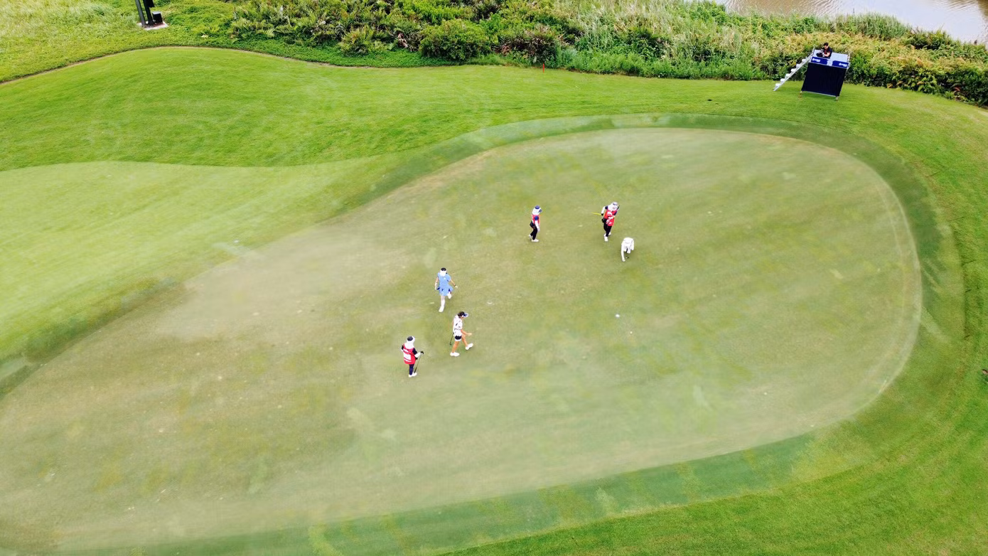 Vinpearl Golf Hải Phòng sở hữu 36 hố golf với 2 sân golf riêng biệt: 18 hố sân hồ và 18 hố sân đầm lầy. Giải Vô địch Golf Quốc gia năm 2023 – Cúp VinFast năm thứ hai liên tiếp tổ chức trên sân đầm lầy.