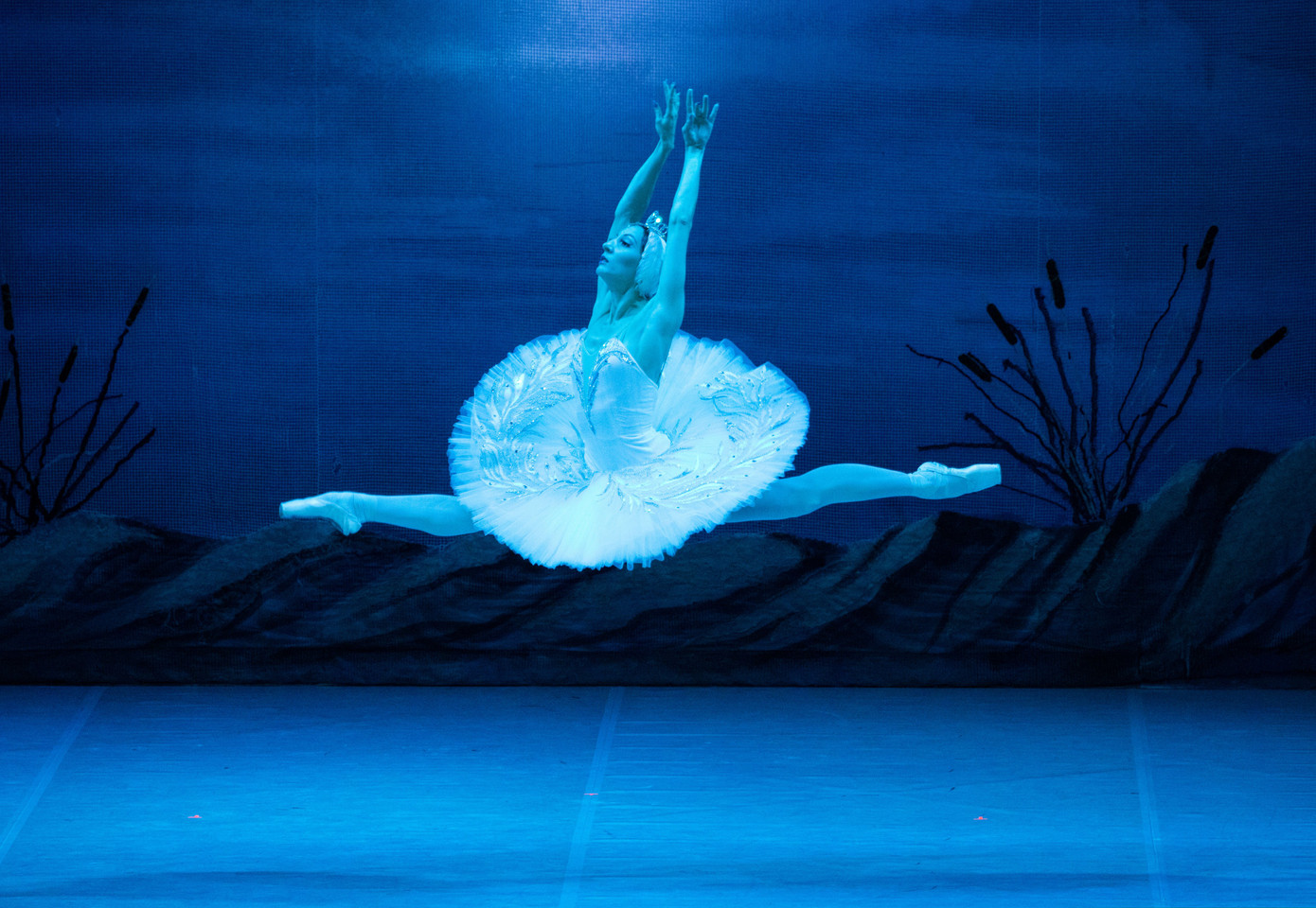 Nghệ sĩ Nhà hát ballet quốc gia Mátxcơva biểu diễn ở hơn 40 quốc gia và vùng lãnh thổ.