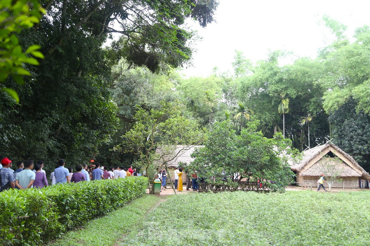 Hành trình xanh kết nối ba tỉnh Nghệ An - Thanh Hóa - Ninh Bình. Hành trình xanh kết nối ba tỉnh Nghệ An - Thanh Hóa - Ninh Bình.