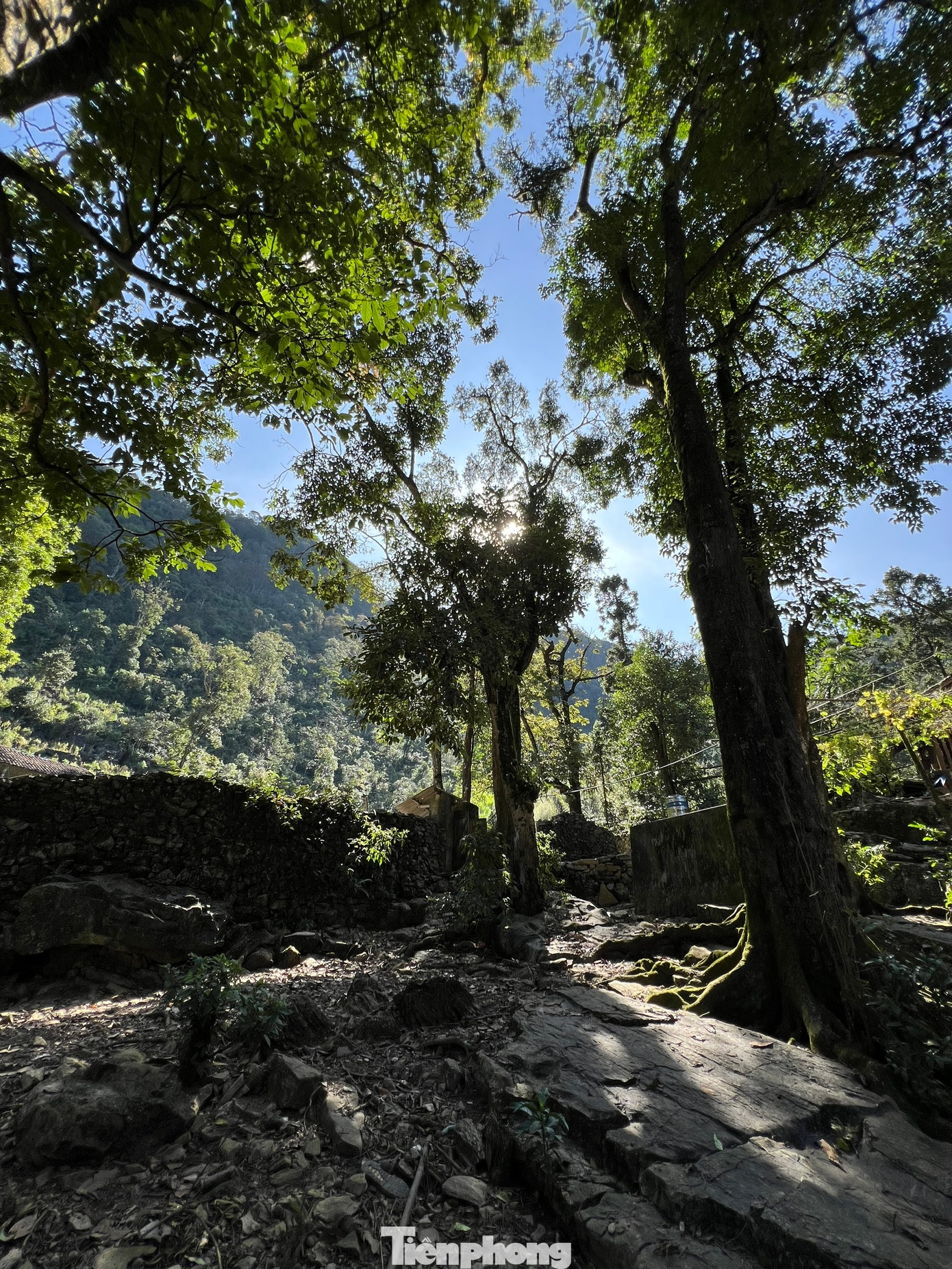 Sảo Há - ngôi làng ẩn mình trên cao nguyên đá. Ảnh: Toan Toan