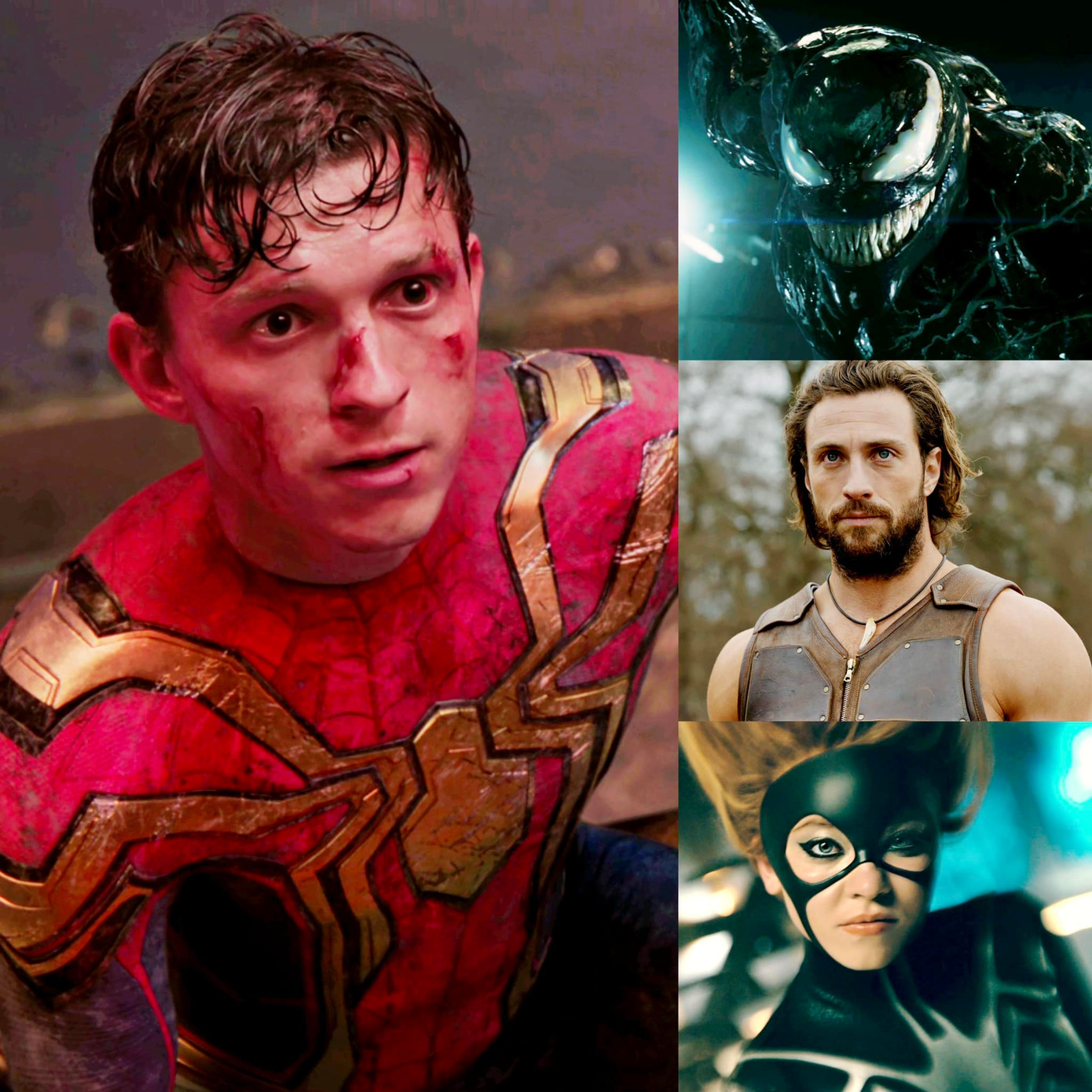 Người hâm mộ nghi ngờ vào độ thành công của vũ trụ người nhện do Sony sản xuất.