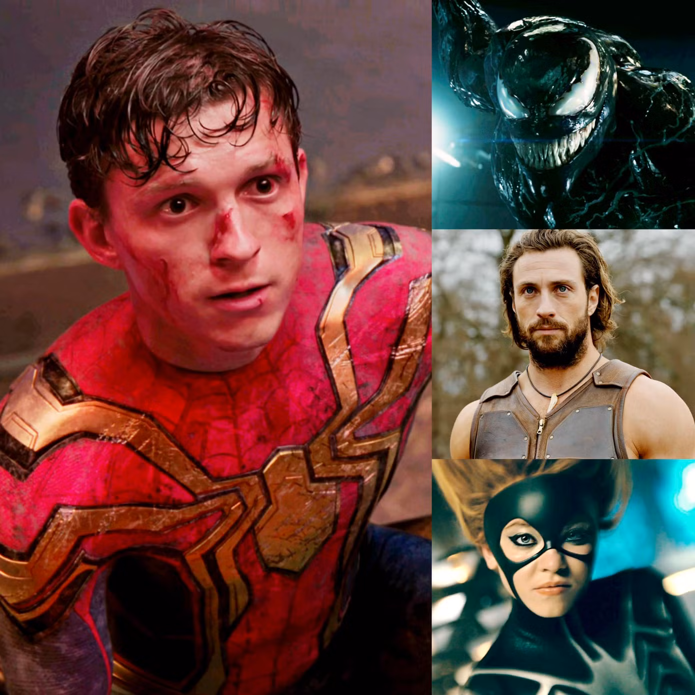Người hâm mộ nghi ngờ vào độ thành công của vũ trụ người nhện do Sony sản xuất.