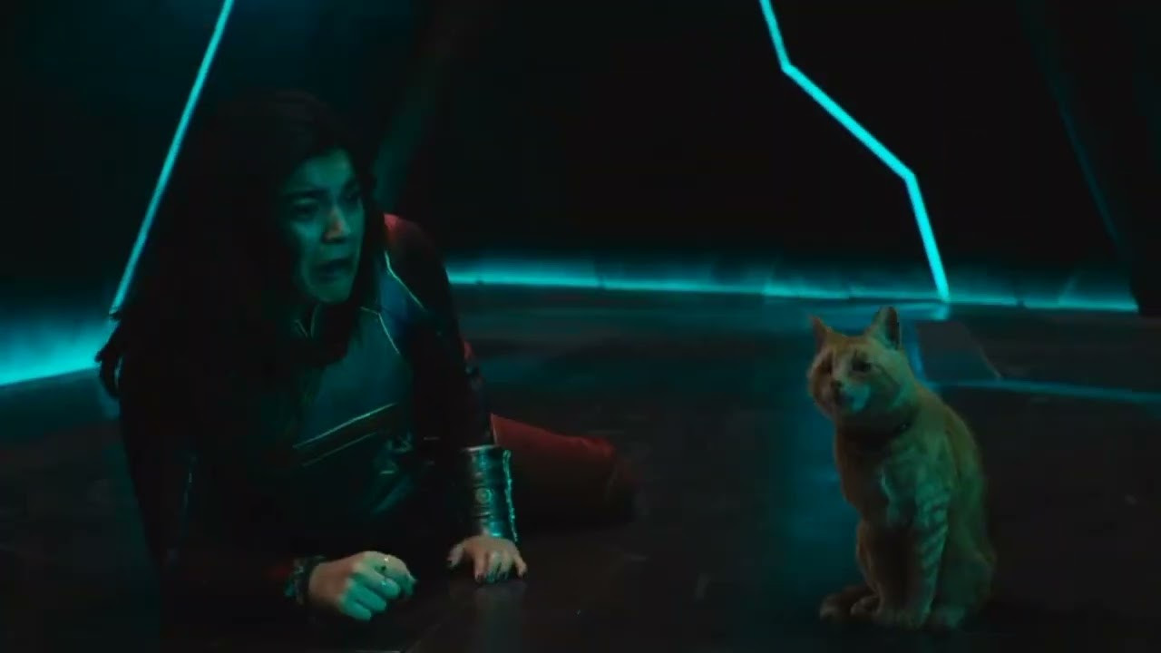 Chú flerken Goose từng cào mù một mắt Nick Fury đã trở lại và khiến Ms. Marvel sợ chết khiếp.