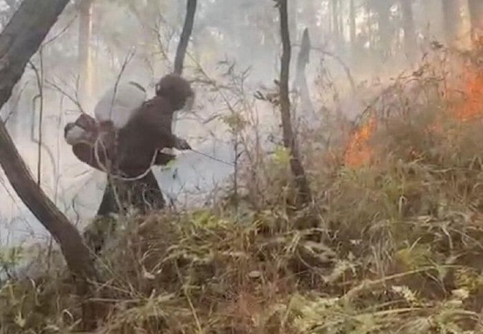 Các lực lượng PCCC vẫn rà soát lại những đốm lửa phát sinh khác. Các lực lượng PCCC vẫn rà soát lại những đốm lửa phát sinh khác.