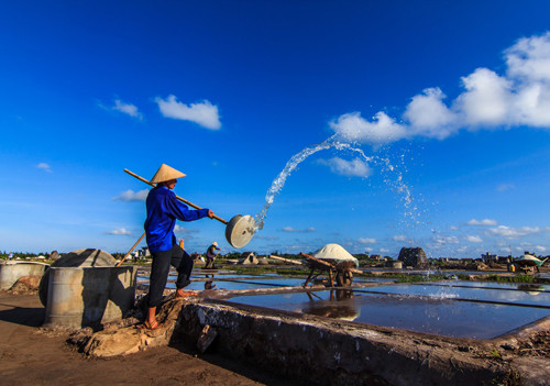 Hạt muối nhọc nhằn của diêm dân Nam Định ảnh 6