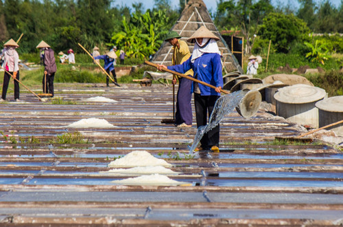 Hạt muối nhọc nhằn của diêm dân Nam Định ảnh 4