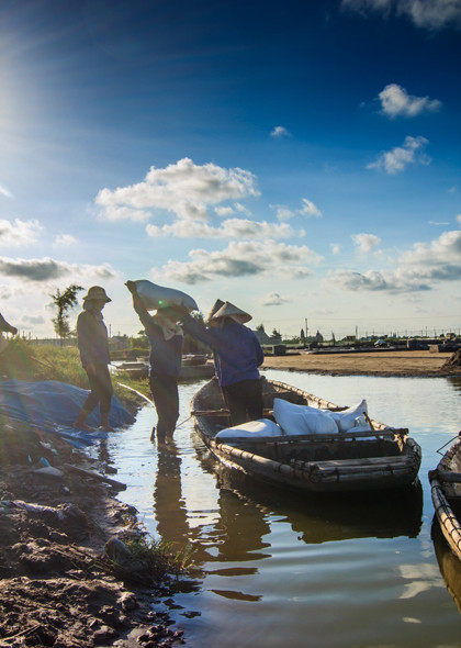 Hạt muối nhọc nhằn của diêm dân Nam Định ảnh 15