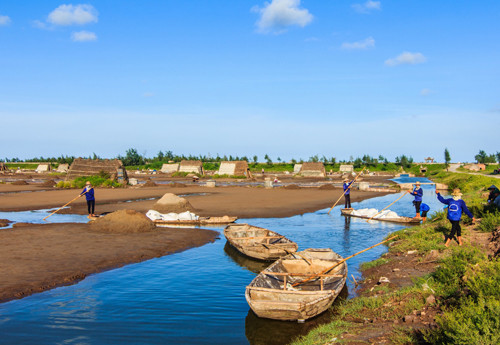 Hạt muối nhọc nhằn của diêm dân Nam Định ảnh 7